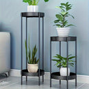 Elegant Dual Indoor Metal Planter Stands