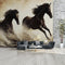 Furious Looking Horse Wallpaper