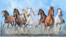 Glorious Horse Wallpaper