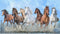 Glorious Horse Wallpaper