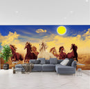 Glowing Sun View Horse Wallpaper