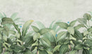 Light Green Leaves Tropical Wallpaper