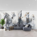 Stunning Look Horse Wallpaper