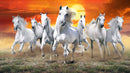 Sunset View Horse Wallpaper
