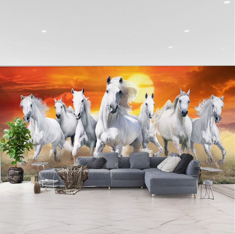 Sunset View Horse Wallpaper