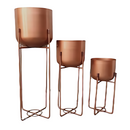 Pot With Golden Stand 90