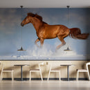 Arabian Horse Wallpaper