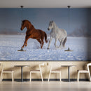 Brown Red Horses Run On Snow