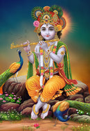 Baal Gopal Peacock Wallpaper