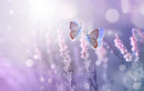 Pink Butterfly Painting Self Adhesive Sticker For Wardrobe