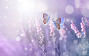 Colourful Butterfly Art Self Adhesive Sticker For Refrigerator