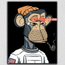 Monkey Red Beam Art