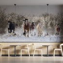 Running White Horse Scenery Wallpaper