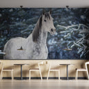 Grey Horse With Snow Wallpaper