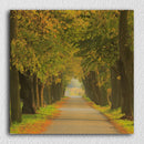 Flowering Arches Givnry