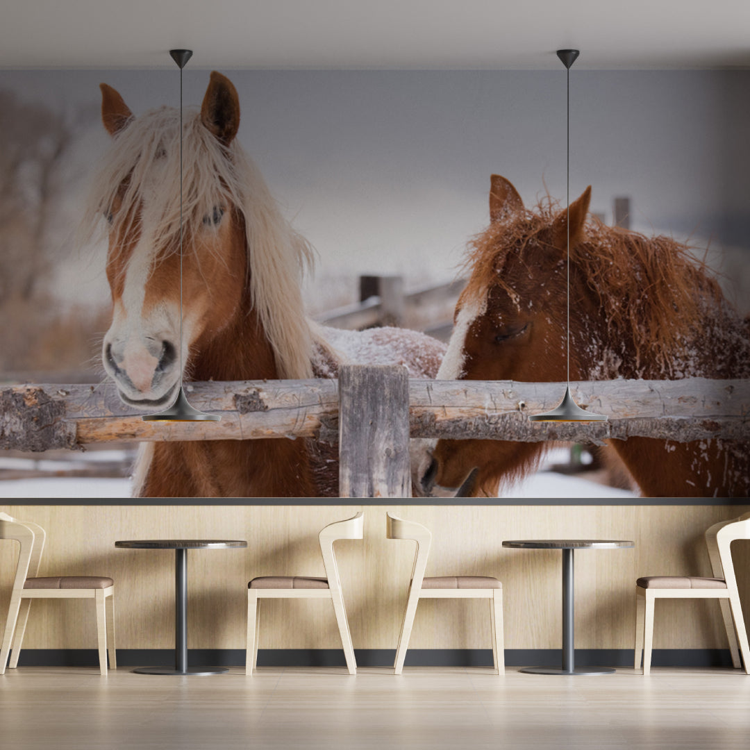 Stable Agricultural Horses Wallpaper