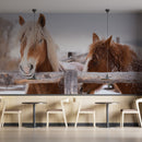 Stable Agricultural Horses Wallpaper
