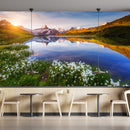 Green Land & Water Land Together Wallpaper