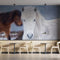 Icelandic White Horse Wallpaper