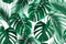 Green And white Leafs Design Self Adhesive Sticker For Cabinet