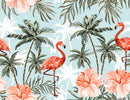 Beautiful Flamingo Wallpaper
