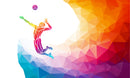 Multicolor Volley Ball Stensil Wallpaper