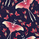 Red Butterfly Blue Wallpaper