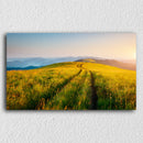 Sunrise Mountain Road