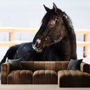 Andalisian Horse Wallpaper