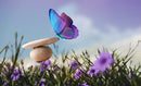 Purple Blue Butterflys Self Adhesive Sticker For Table