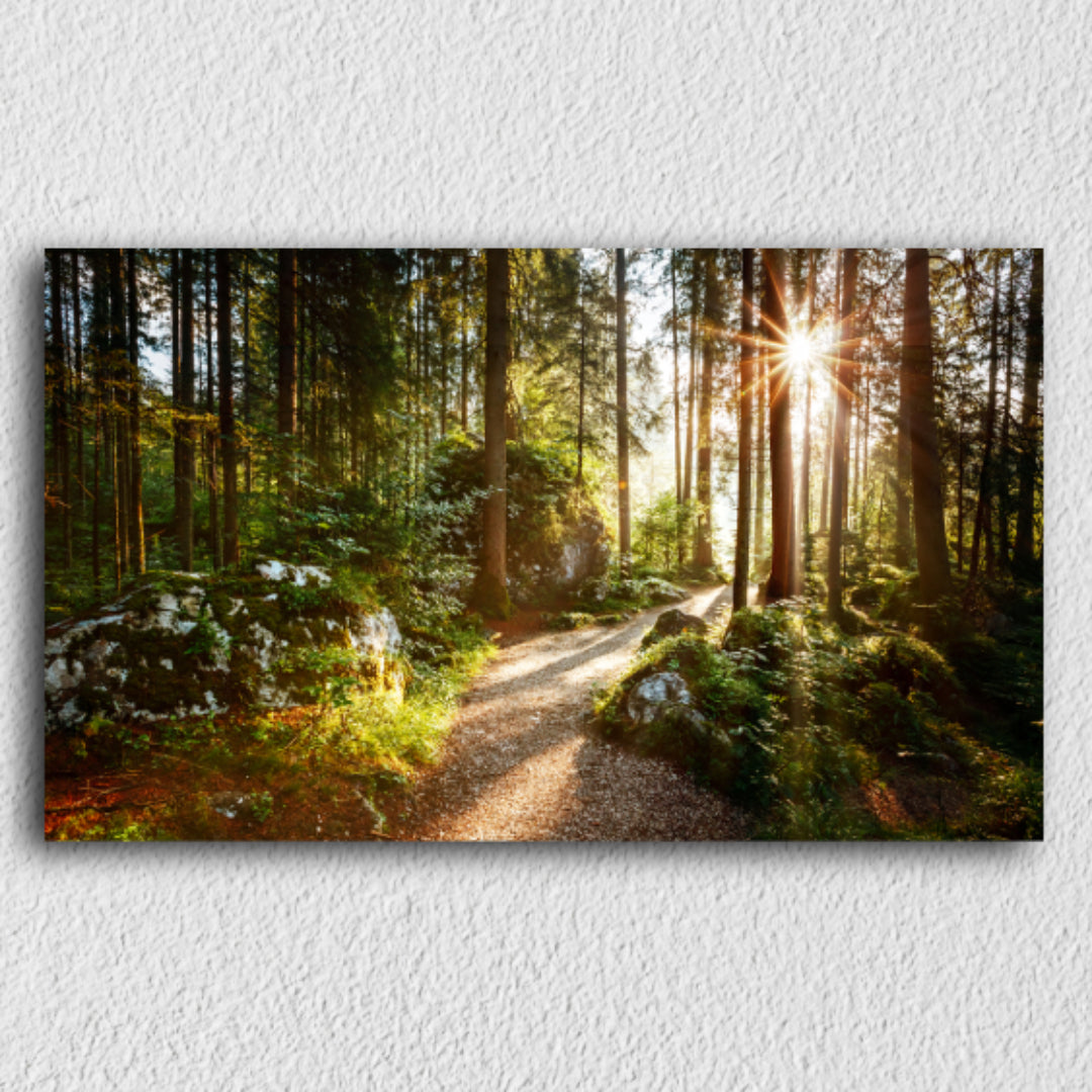 Vivid Forest Pathway