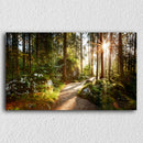 Vivid Forest Pathway
