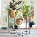 Egg Shaped Fancy Planters Set Of 3 (87)