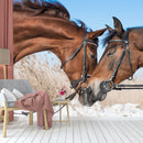 Two Loving Horse Wallpaper