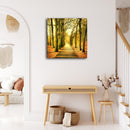Autumn Forest Path