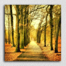 Autumn Forest Path