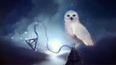 Potterhead Winter Owl Wallpaper