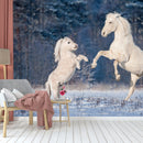 Two Beautifil Horses Playing