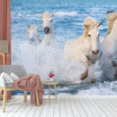 4 Horses Playing In Water