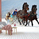 Joring The Most Dangerous Race On Snow