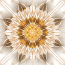 Yellow Golden Roof Ceiling Wallpaper