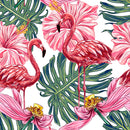 Beautiful Colored Wallpaper