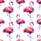 Purple Flamingo Wallpaper