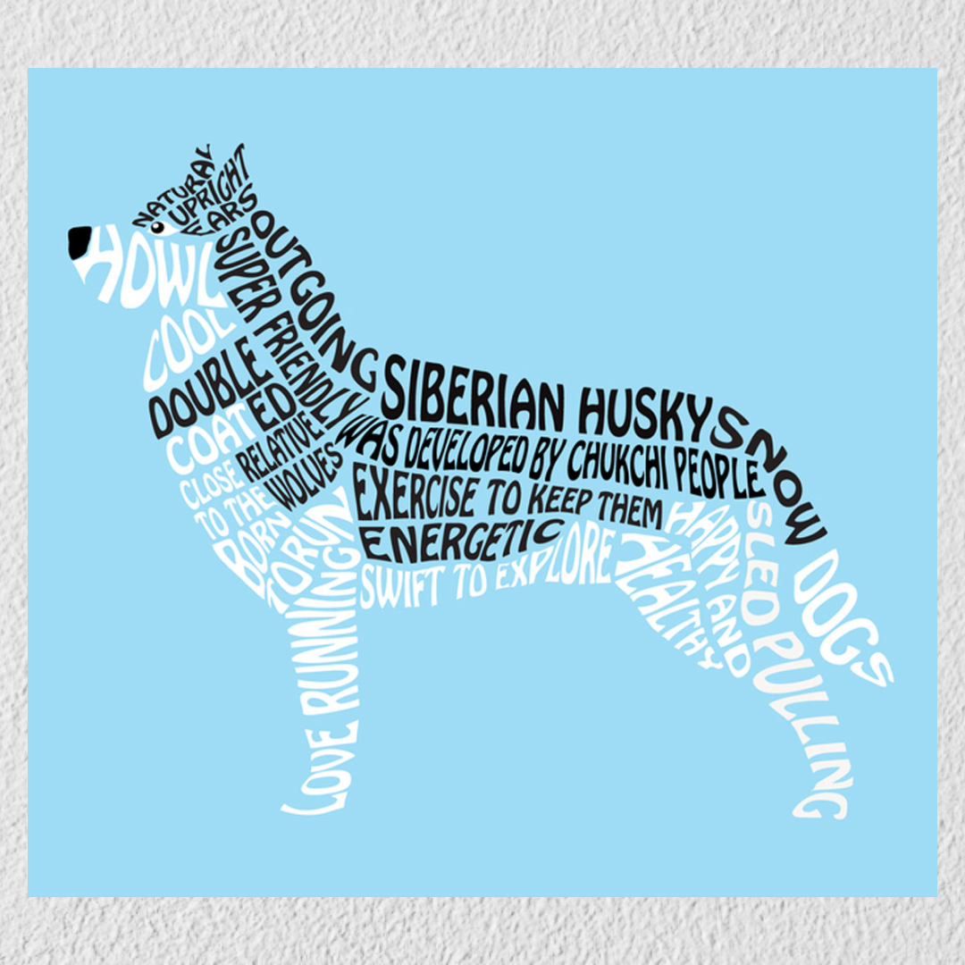Blue Background Husky Wall Art