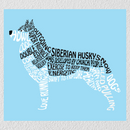 Blue Background Husky Wall Art