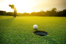 Golf Court And Ball Wallpaper