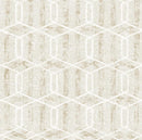 Omega Hexagon shaped Wallpaper