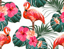 Floral White Background