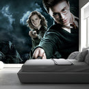 Harry Potter & Goblet Fire Wallpaper