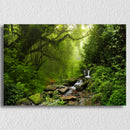 Green Waterfall Forest